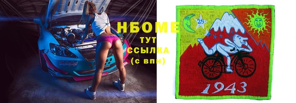 PSILOCYBIN Покачи