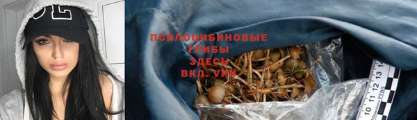 PSILOCYBIN Покачи